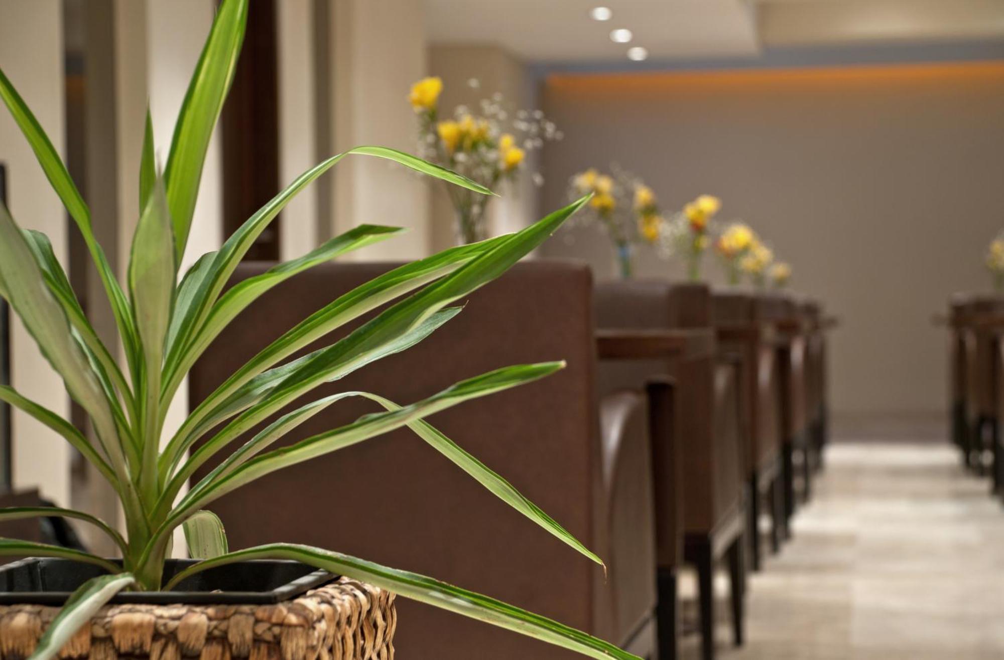 Hotel Punta Del Este 마르델플라타 외부 사진